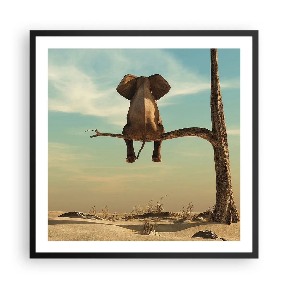 Affiche dans un cadre noir - Poster - Nouveau point de vue - 60x60 cm