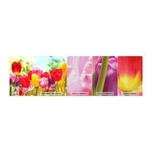 Échantillon de Papier Peint Premium Canvas - C'est nous, les couleurs de Mai! - Fleurs, Tulipes, Jardin - 100x30 cm