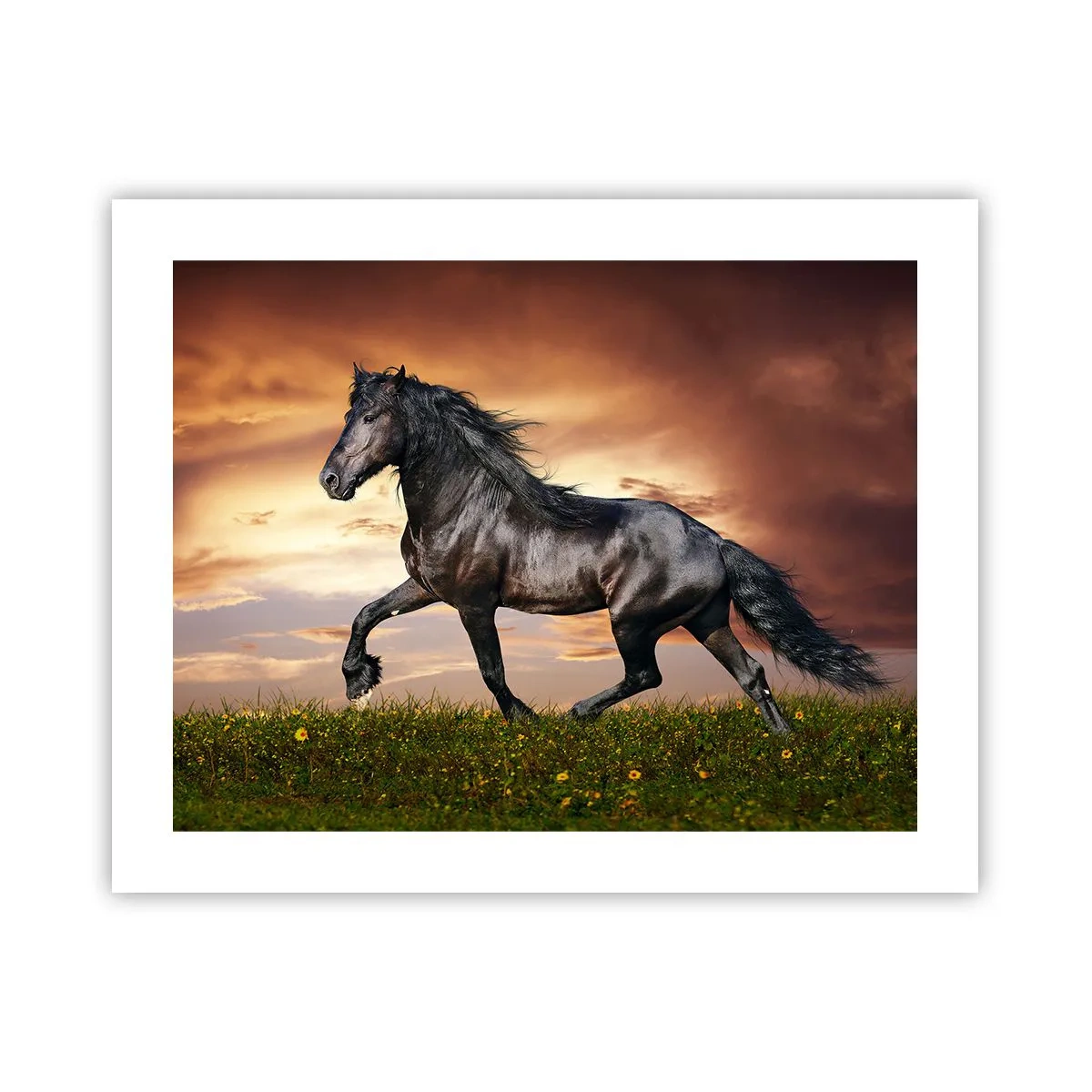Affiche - Poster - Livres noirs - 50x40 cm