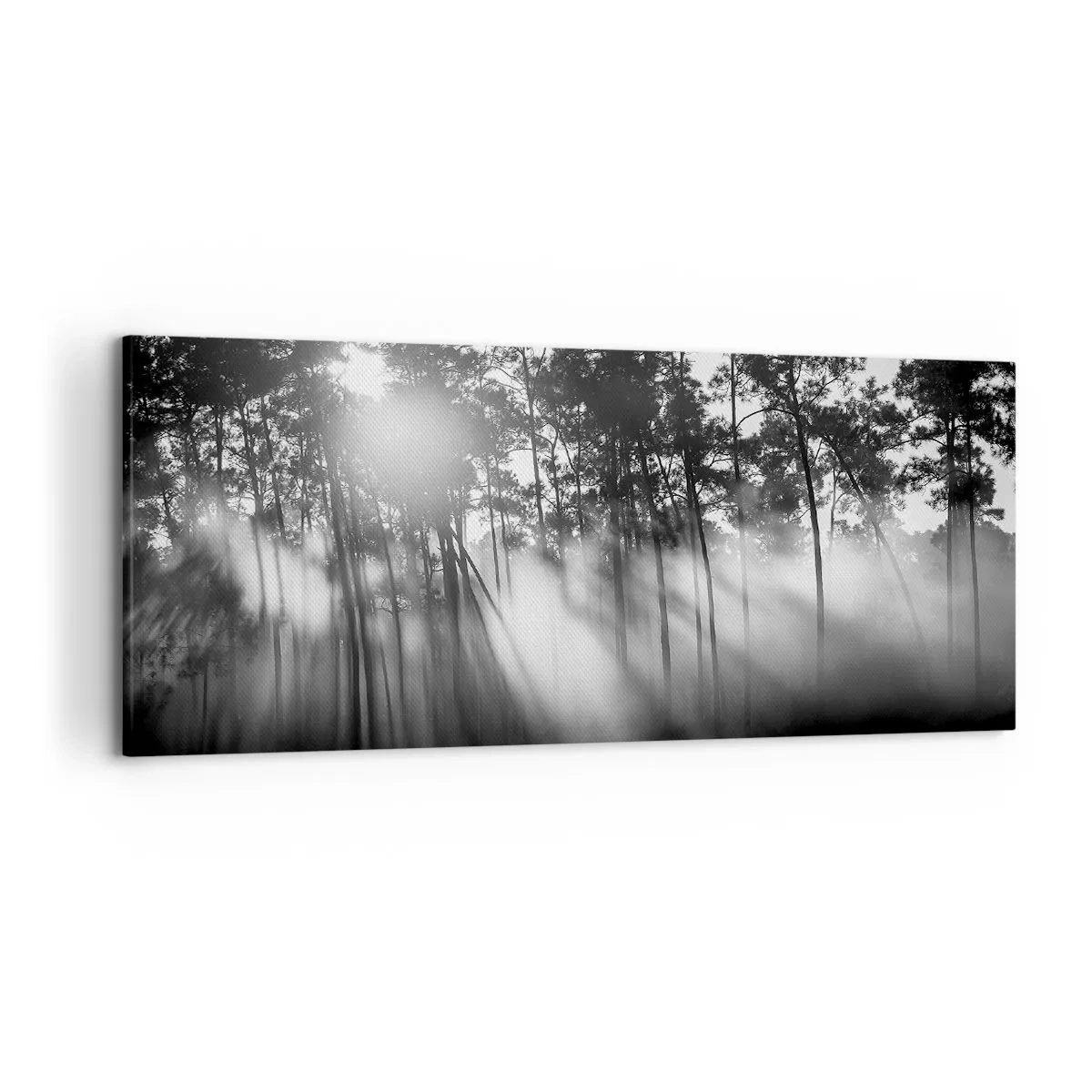 Impression sur toile - Image sur toile - Forêt noire et blanche dans le brouillard du matin - 120x50cm - Soleil inarrêtable - Décoration murale moderne pour le salon et la chambre ARTTOR