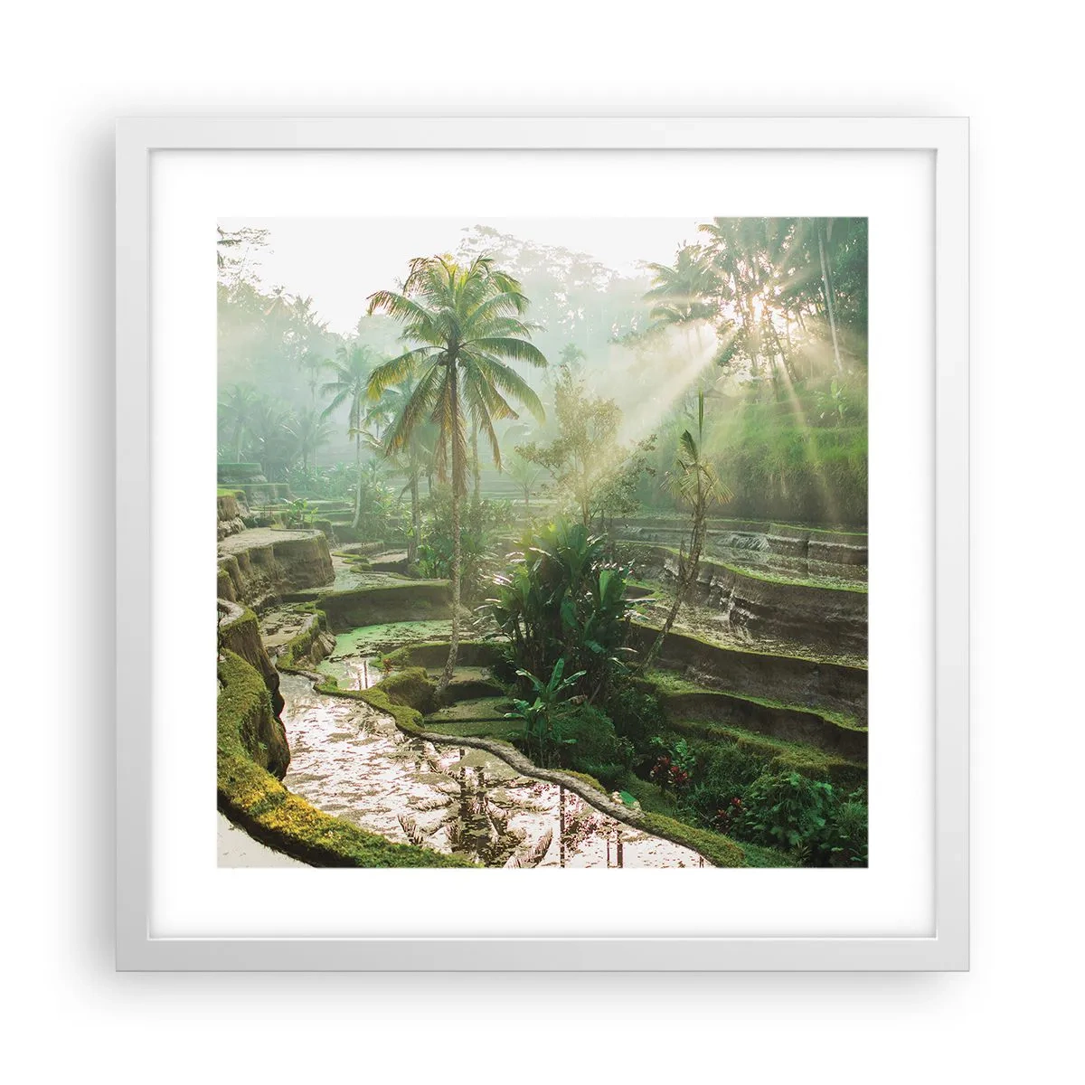 Affiche dans un cadre blanc - Poster - Grandir au soleil - 40x40 cm