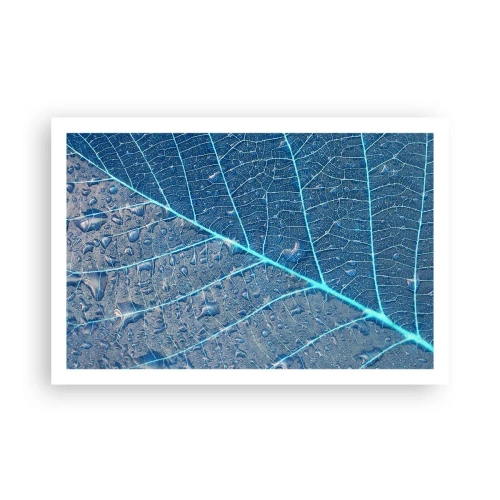 Affiche - Poster - La vie en bleu - 91x61 cm