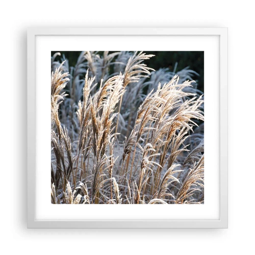 Affiche dans un cadre blanc - Poster - Habillé de givre - 40x40 cm