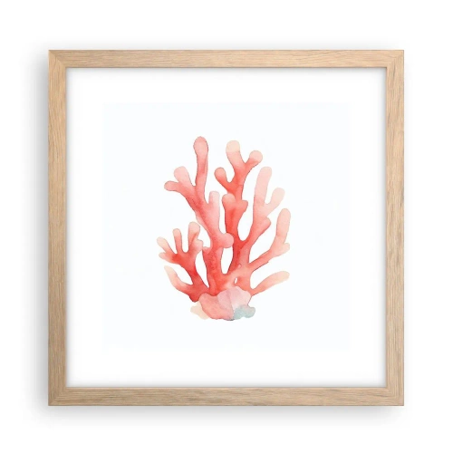 Affiche dans un chêne clair - Poster - Corail couleur corail - 30x30 cm