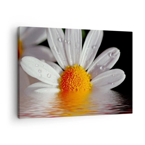 Impression sur toile - Image sur toile - Une marguerite blanche avec des gouttes d'eau immergées dans un reflet d'eau - 70x50cm - Le soleil levant des marguerites - Décoration murale moderne pour le salon et la chambre ARTTOR