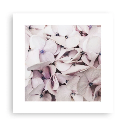 Affiche - Poster - Dans un flot de fleurs - 30x30 cm