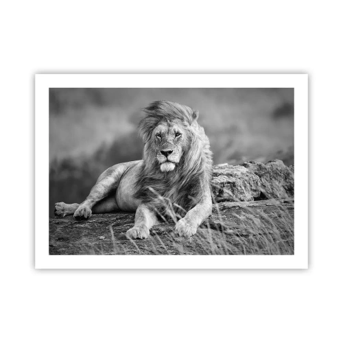 Affiche - Poster - Sieste royale - 70x50 cm