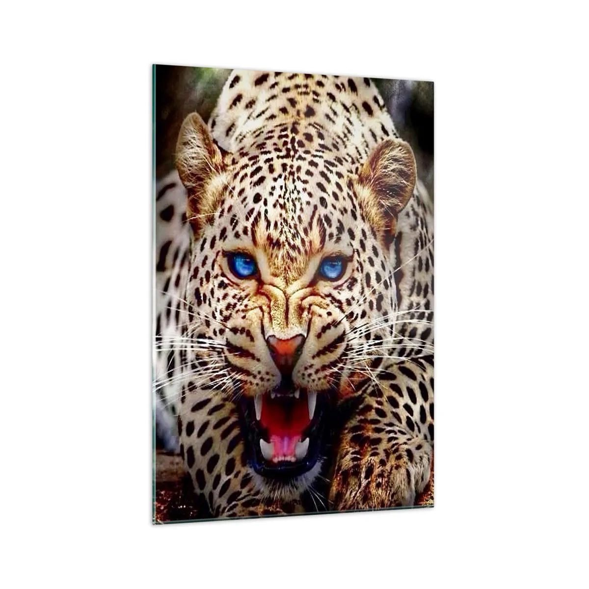 Impression sur verre - Image sur verre - Un léopard menaçant aux yeux bleus intenses - 70x100cm - La colère de la beauté ne fait pas de mal - Décoration murale moderne pour le salon et la chambre ARTTOR