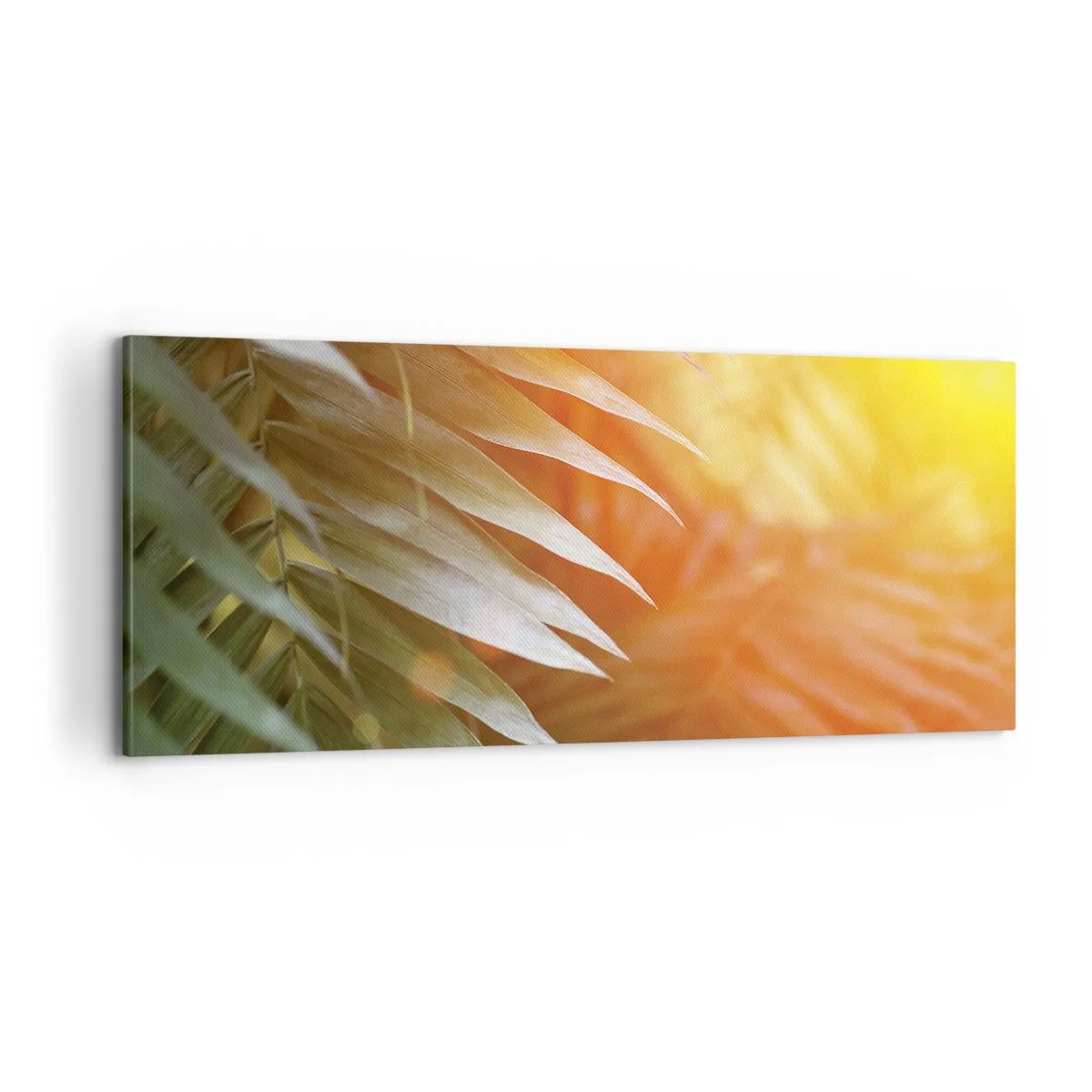 Impression sur toile - Image sur toile - Matinée dans la jungle - 100x40 cm
