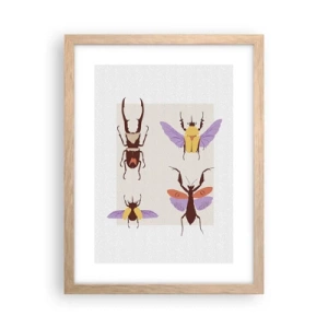 Affiche dans un chêne clair - Poster - Le monde des insectes - 30x40 cm