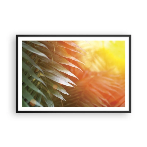 Affiche dans un cadre noir - Poster - Matinée dans la jungle - 91x61 cm
