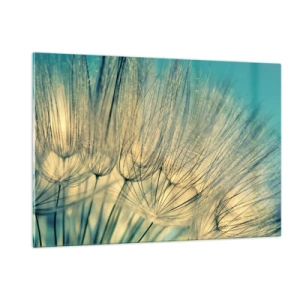 Impression sur verre - Image sur verre - Macrophotographie d'un pissenlit sur fond turquoise - 120x80cm - En attente du vent - Décoration murale moderne pour le salon et la chambre ARTTOR