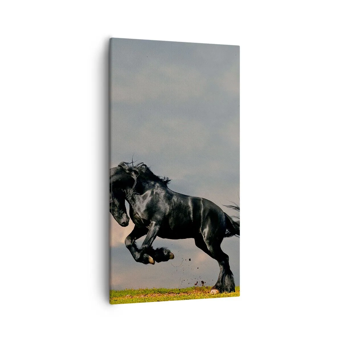 Impression sur toile - Image sur toile - Beau et libre - 55x100 cm