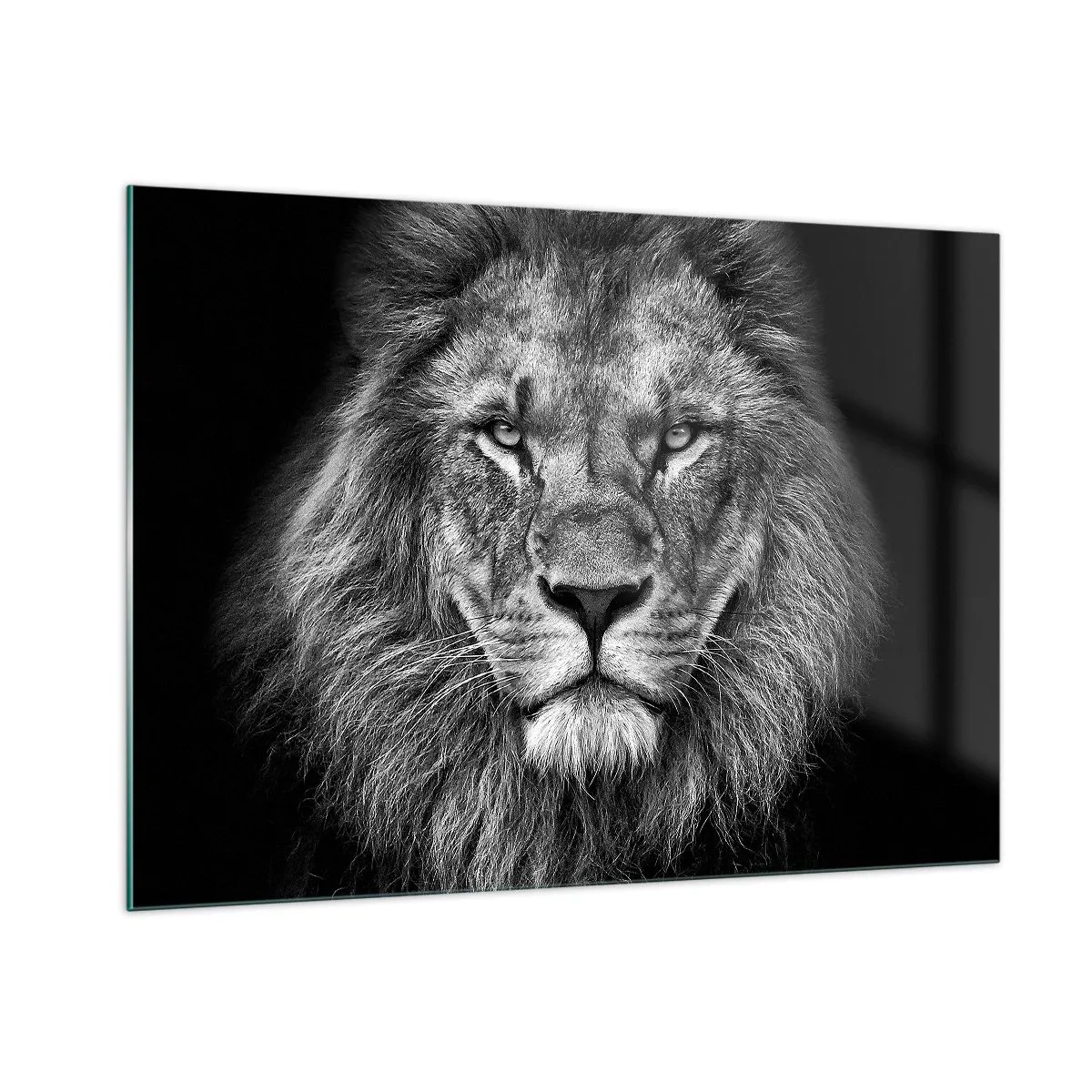 Impression sur verre - Image sur verre - Portrait d'un lion en noir et blanc avec une crinière majestueuse - 100x70cm - En vêtement de sacre - Décoration murale moderne pour le salon et la chambre ARTTOR