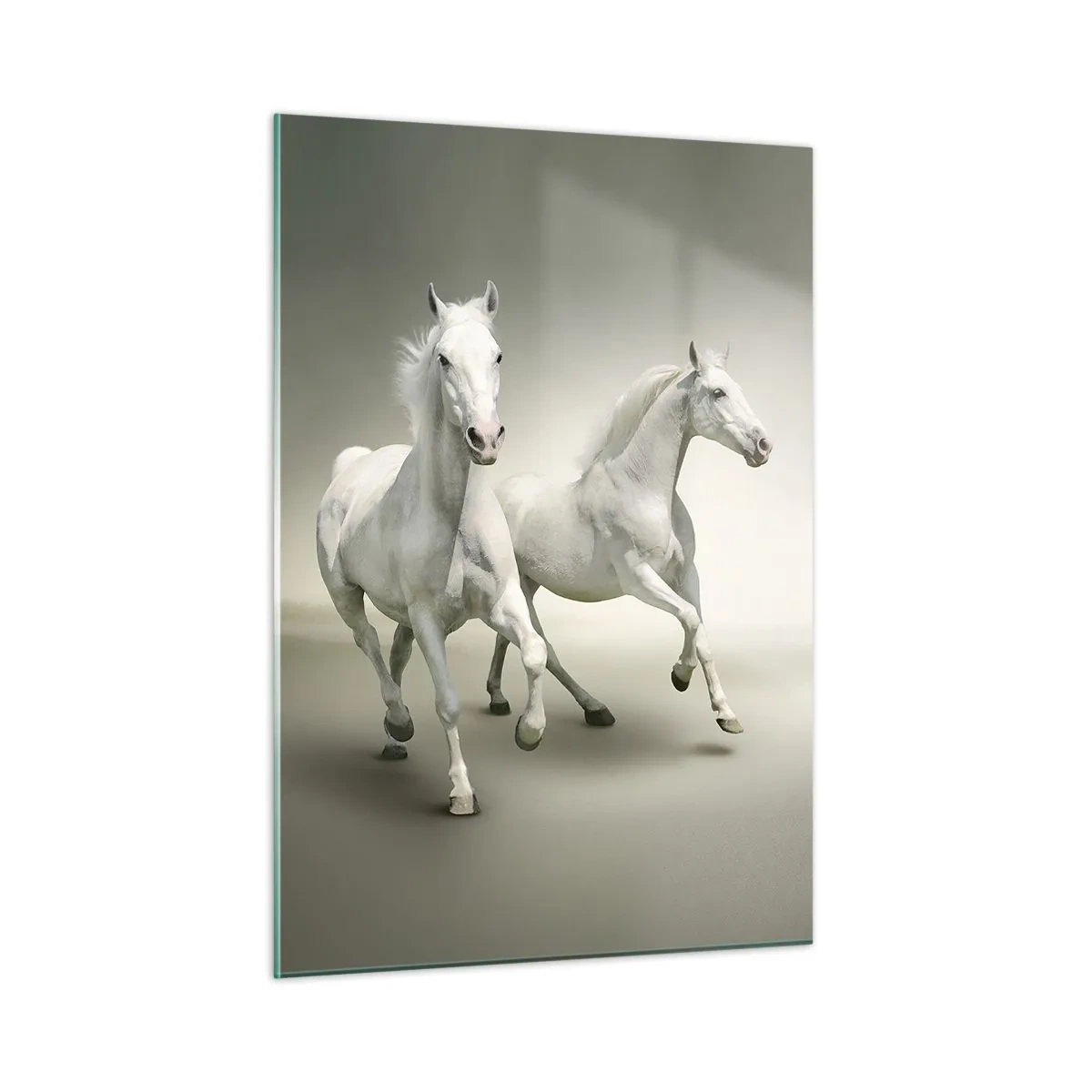 Impression sur verre - Image sur verre - Deux chevaux blancs courant sur un fond clair - 50x70cm - White power! - Décoration murale moderne pour le salon et la chambre ARTTOR