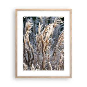 Affiche dans un chêne clair - Poster - Habillé de givre - 40x50 cm