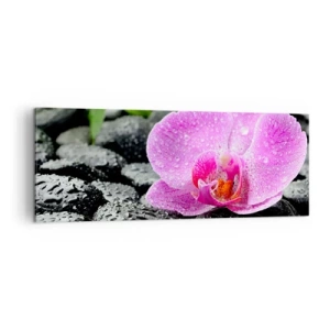 Impression sur toile - Image sur toile - Orchidée rose sur des pierres noires humides avec des feuilles vertes - 140x50cm - Comme un coeur ouvert - Décoration murale moderne pour le salon et la chambre ARTTOR