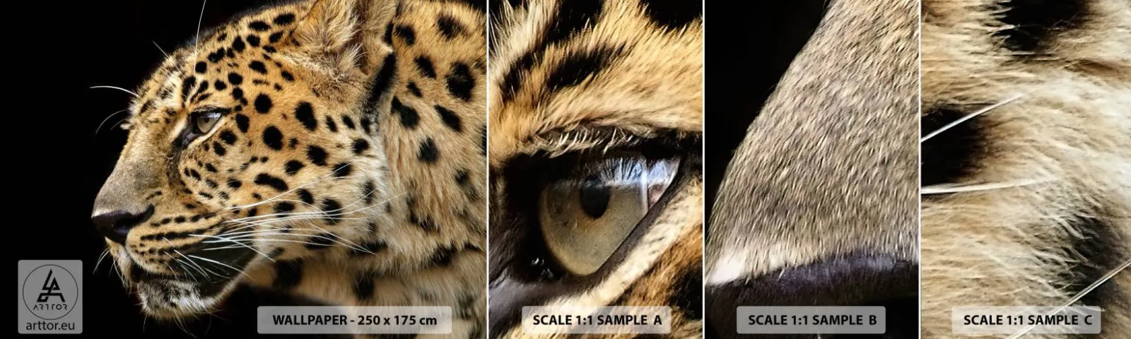 Échantillon De Papier Peint Standard Eco - Calme, concentré, prêt - Animaux, léopard, Afrique - 100x30 cm