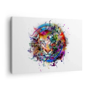 Impression sur toile - Image sur toile - Il se cache derrière un voile arc-en-ciel - 70x50 cm