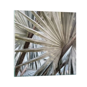 Impression sur verre - Image sur verre - Evantail sous les tropiques - 50x50 cm