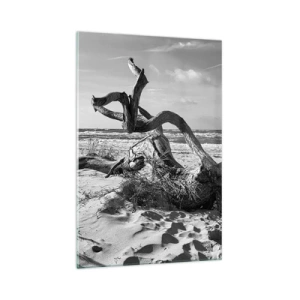 Impression sur verre - Image sur verre - Paysage noir et blanc avec un arbre mort sur la plage - 70x100cm - Sculpture marine - Décoration murale moderne pour le salon et la chambre ARTTOR
