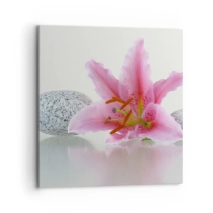 Impression sur toile - Image sur toile - Étude de rose, gris et blanc - 70x70 cm