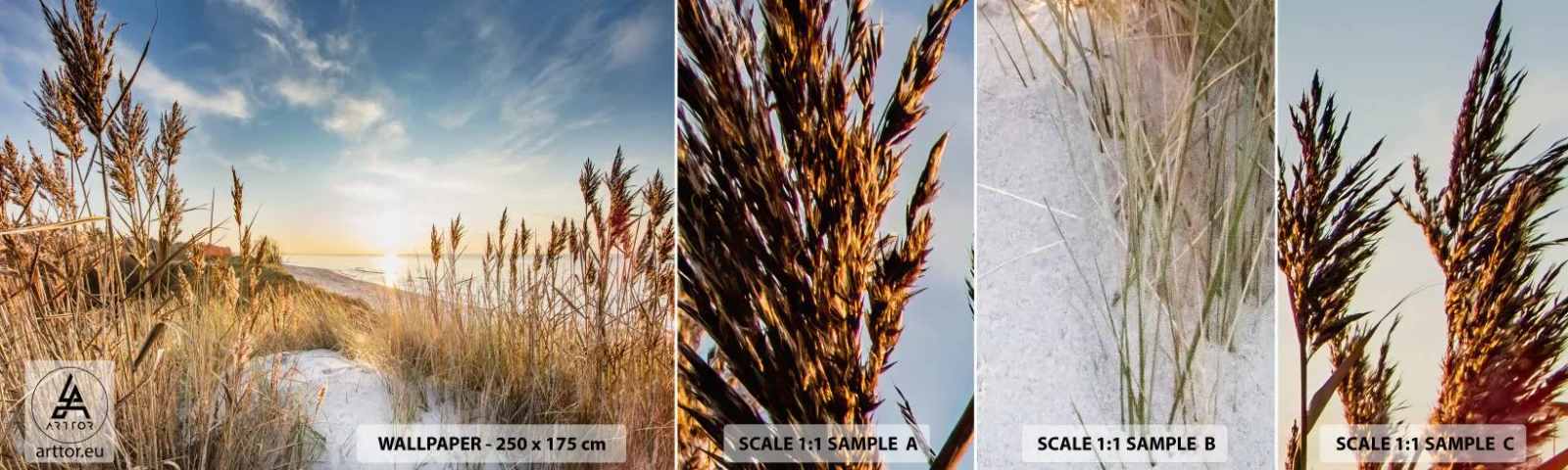Échantillon De Papier Peint Standard Eco - Plage du nord - Paysage, Mer, Plage - 100x30 cm