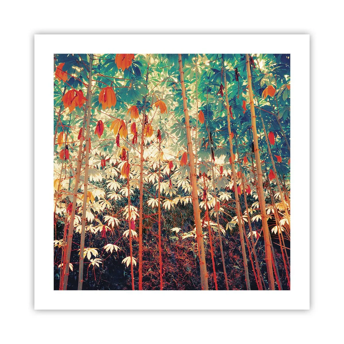 Affiche - Poster - La vie secrète des feuilles - 50x50 cm