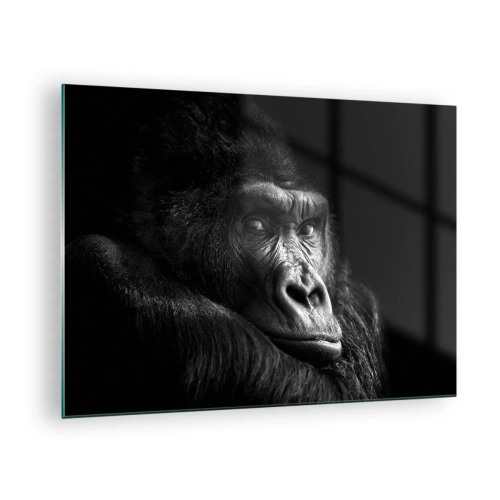 Impression sur verre - Image sur verre - Portrait noir et blanc d'un gorille à l'ombre d'une fenêtre - 70x50cm - Et qu'est-ce que tu regardes? - Décoration murale moderne pour le salon et la chambre ARTTOR