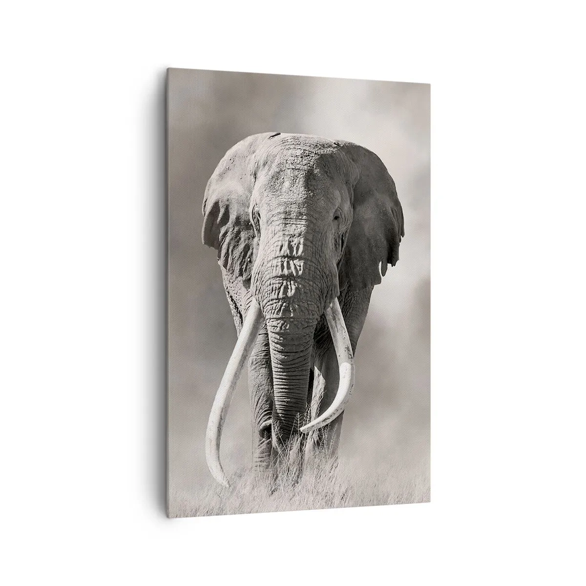 Impression sur toile - Image sur toile - Patriarche africain - 80x120 cm