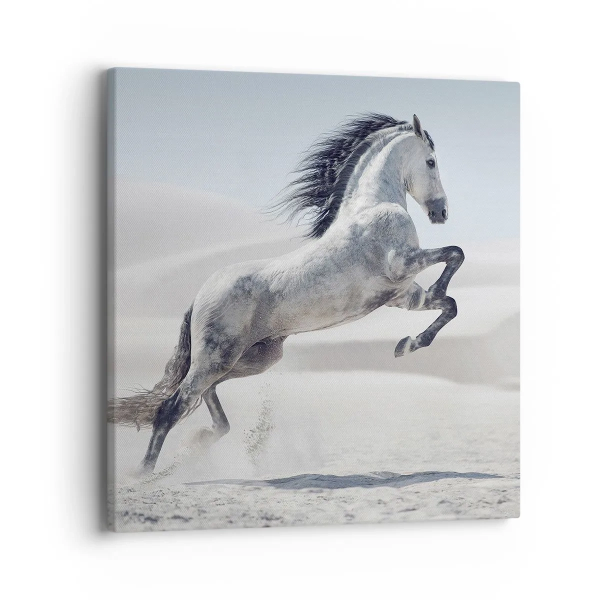Impression sur toile - Image sur toile - Prince arabe - 40x40 cm