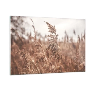 Impression sur verre - Image sur verre - Herbes séchées dans le vent dans la lumière d'automne de la nature - 120x80cm - C'est déjà l'automne dans les champs - Décoration murale moderne pour le salon et la chambre ARTTOR
