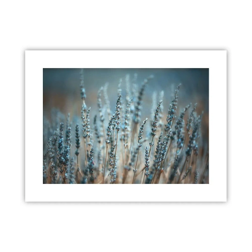Affiche - Poster - Tige odorante - 40x30 cm