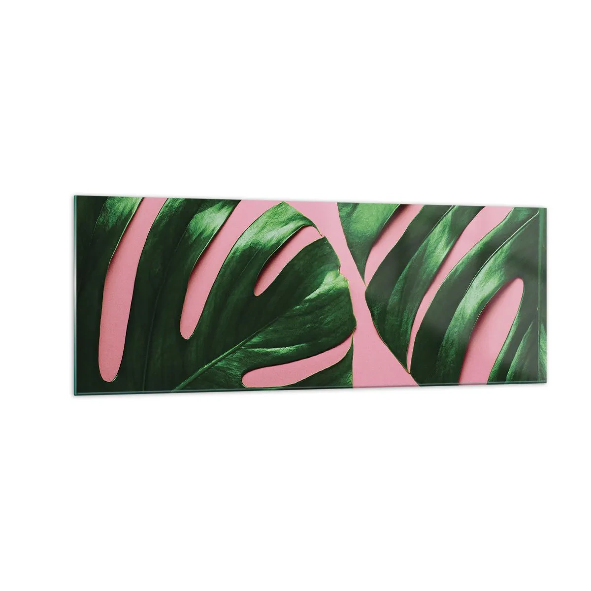 Impression sur verre - Image sur verre - Feuilles de monstera vertes sur fond rose - 140x50cm - Rendez-vous vert - Décoration murale moderne pour le salon et la chambre ARTTOR