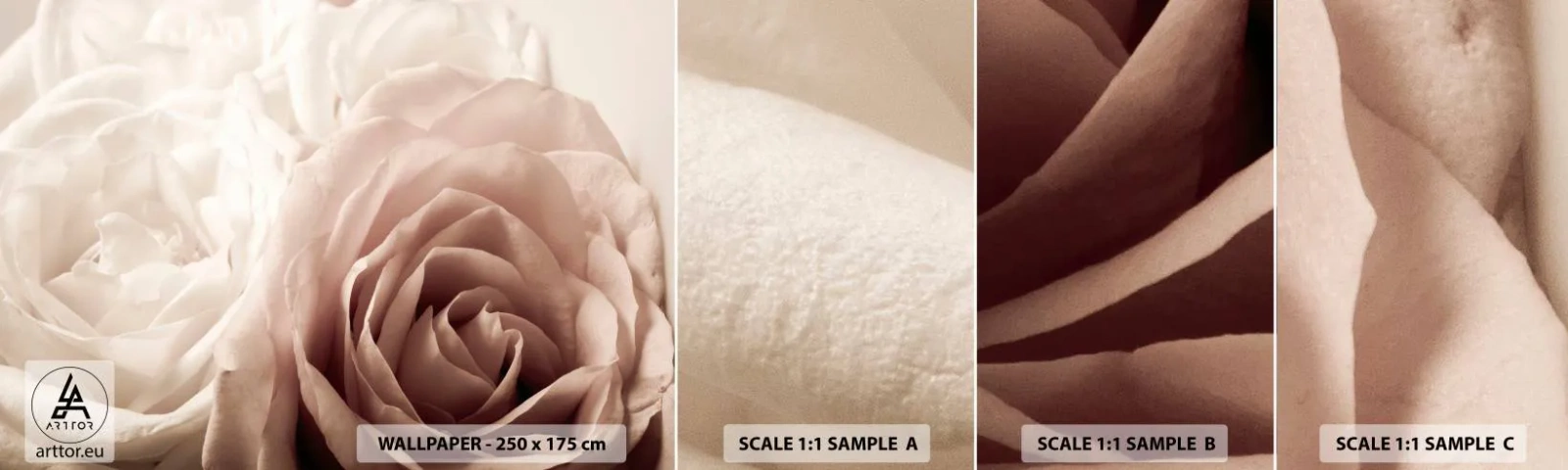 Échantillon De Papier Peint Standard Eco - Au coeur d'ue la rose - Des roses, Fleurs, Romantique - 100x30 cm