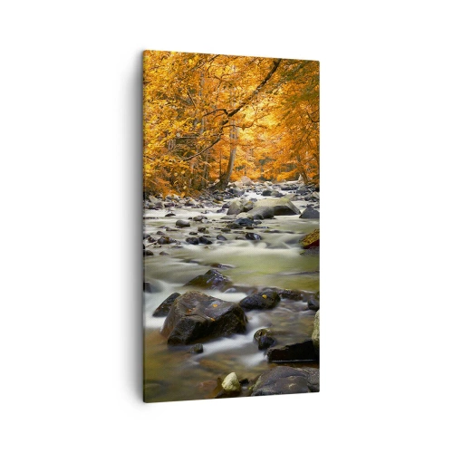Impression sur toile - Image sur toile - Un ruisseau dans une forêt dorée - 45x80 cm