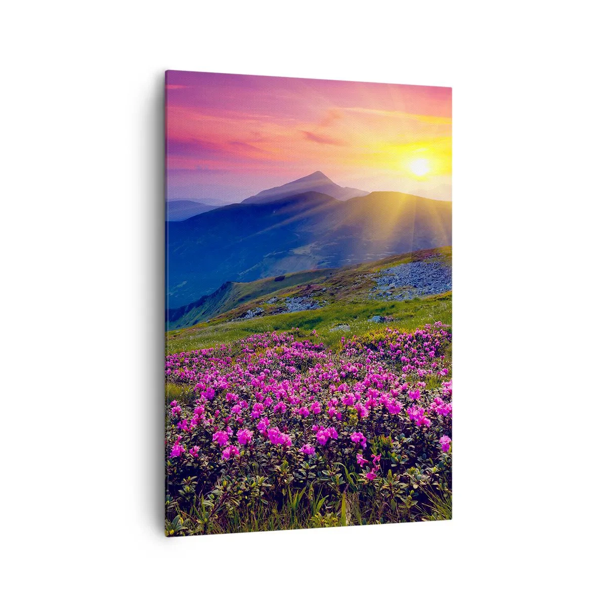 Impression sur toile - Image sur toile - Une prairie fleurie avec vue sur les montagnes au coucher du soleil - 70x100cm - … Et autour, ça sent le pin des montagnes et l'odeur de la prairie - Décoration murale moderne pour le salon et la chambre ARTTOR