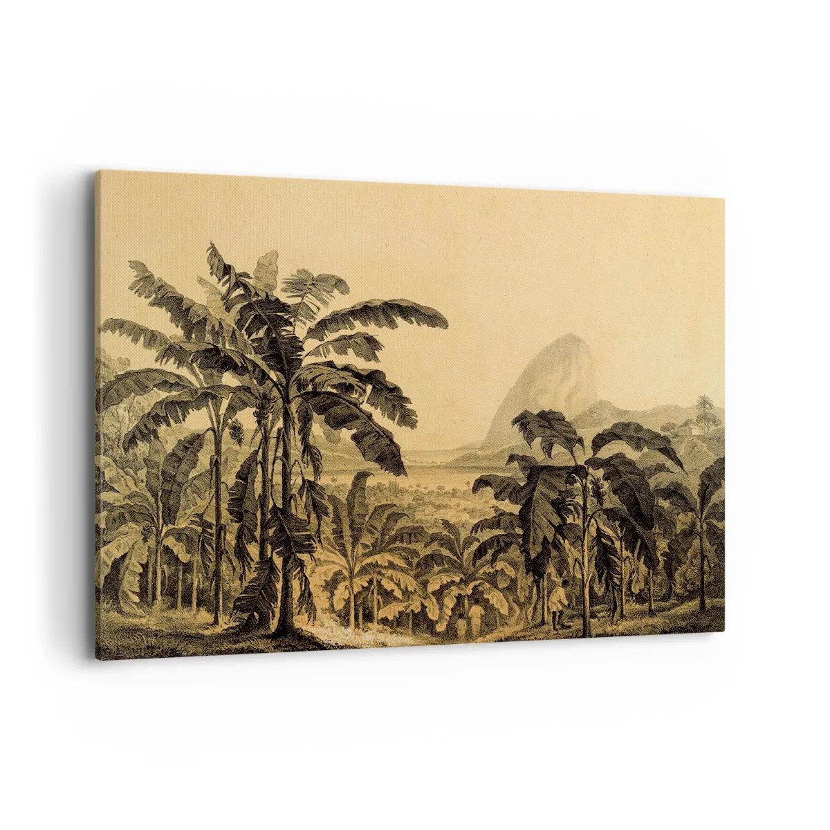 Impression sur toile - Image sur toile - Dessin de bananiers sur fond de paysage tropical - 120x80cm - Dans un climat colonial - Décoration murale moderne pour le salon et la chambre ARTTOR