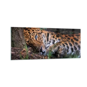 Impression sur verre - Image sur verre - Fais-moi confiance - 100x40 cm