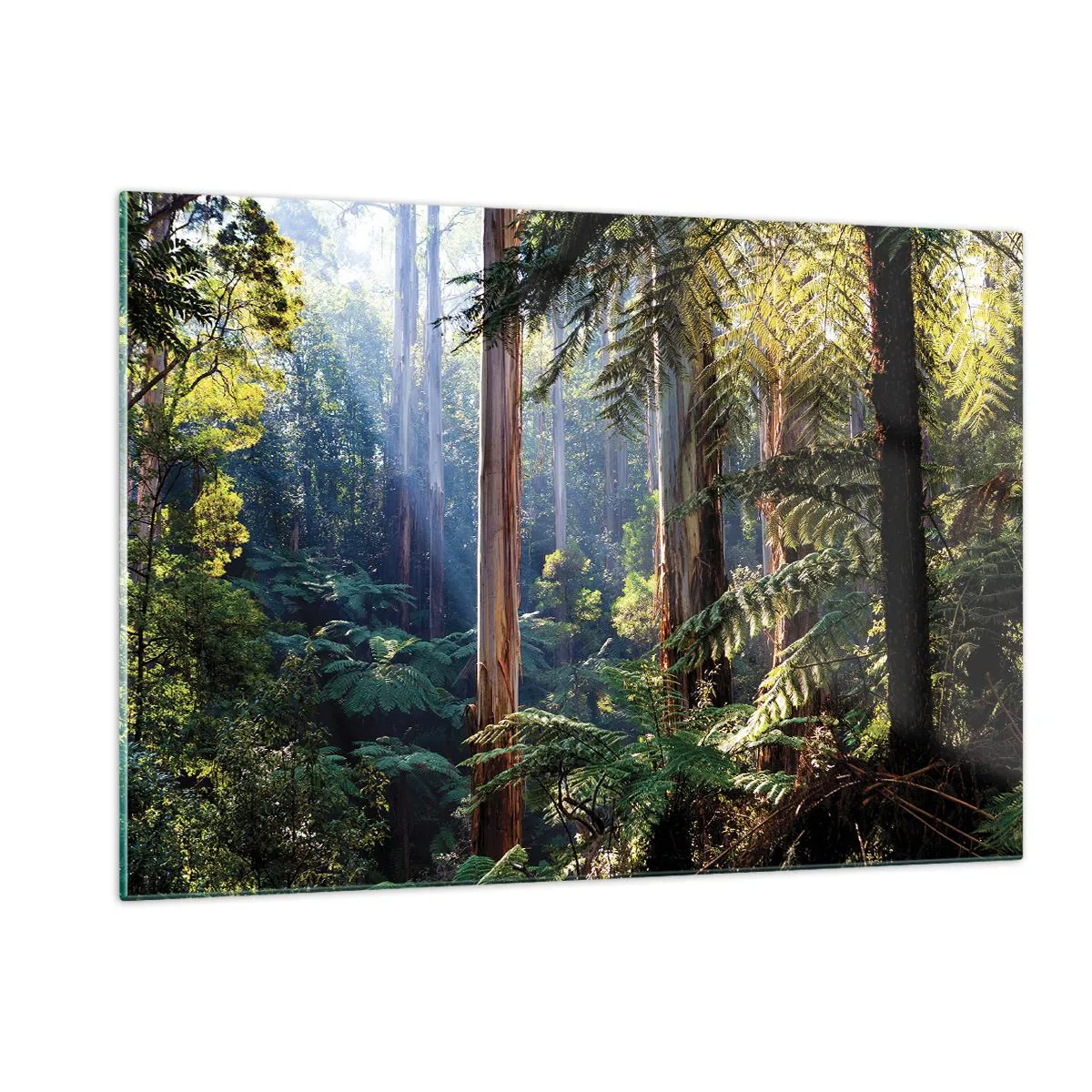 Impression sur verre - Image sur verre - Forêt tropicale verte avec des rayons de soleil - 120x80cm - Fable de la forêt - Décoration murale moderne pour le salon et la chambre ARTTOR