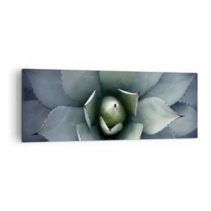 Impression sur toile - Image sur toile - Gros plan d'une rosette d'agave aux délicates nuances de vert - 140x50cm - Wabi et observe - Décoration murale moderne pour le salon et la chambre ARTTOR
