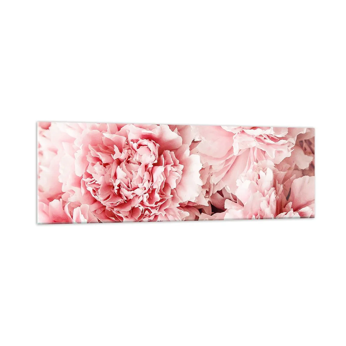 Impression sur verre - Image sur verre - Pivoines roses subtiles dans un décor délicat - 160x50cm - Rêve rose - Décoration murale moderne pour le salon et la chambre ARTTOR