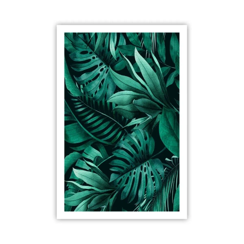 Affiche - Poster - Profondeur du vert tropical - 61x91 cm