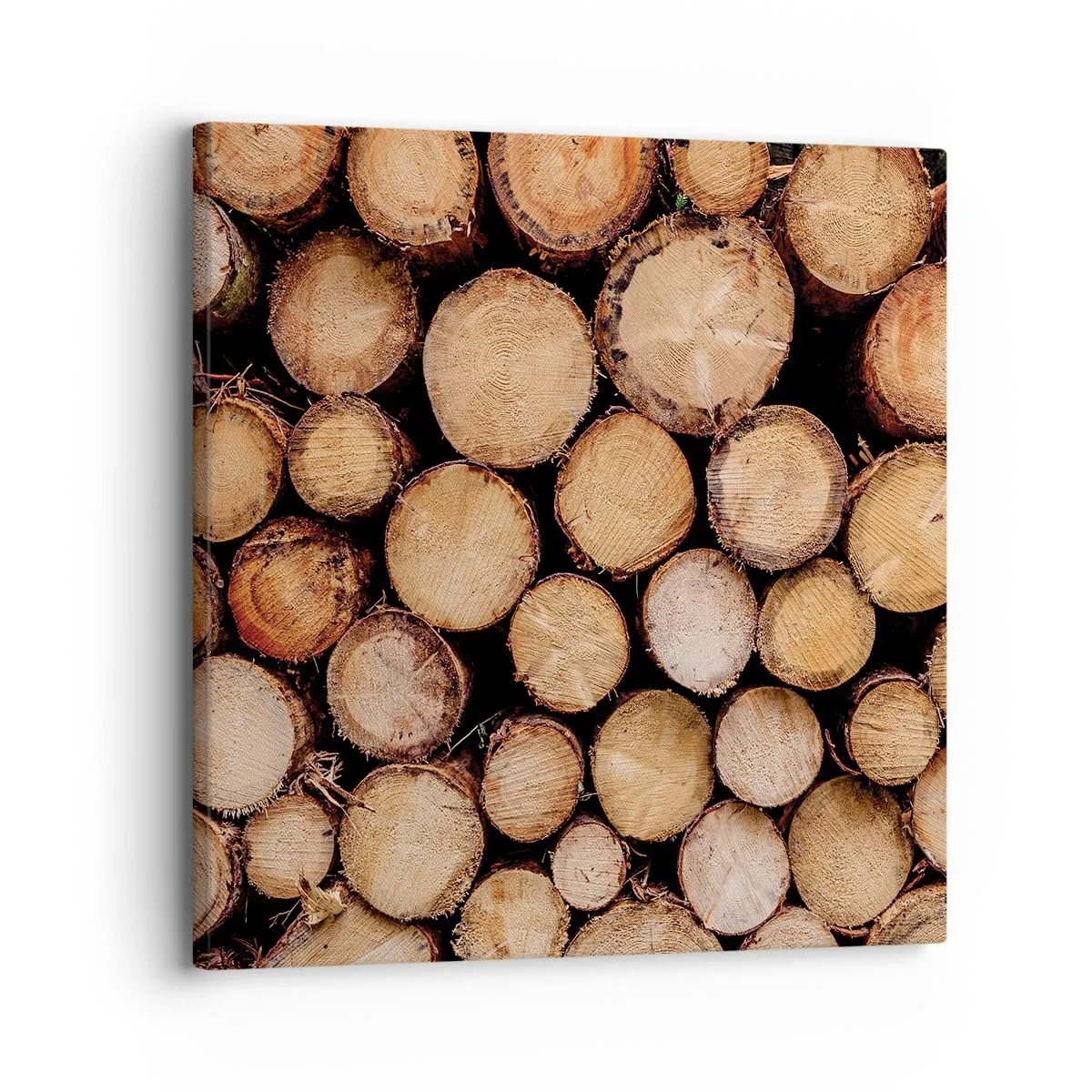 Impression sur toile - Image sur toile - Nouveau commencement - 30x30 cm