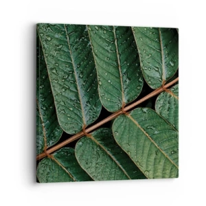 Impression sur toile - Image sur toile - Au rythme de la verdure - 30x30 cm