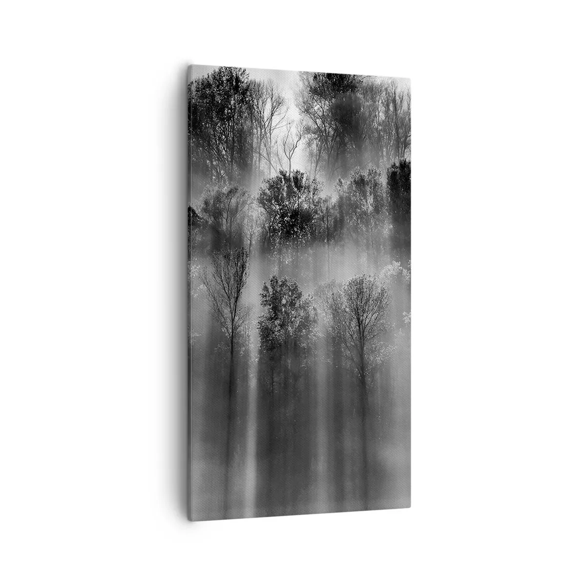 Impression sur toile - Image sur toile - Dans les flots de lumière - 55x100 cm