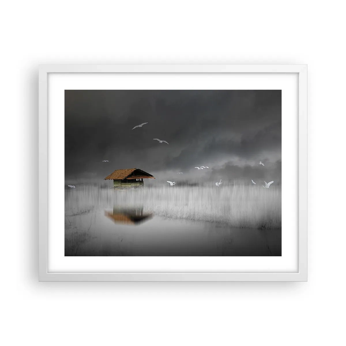 Affiche dans un cadre blanc - Poster - A l'abri de la pluie - 50x40 cm