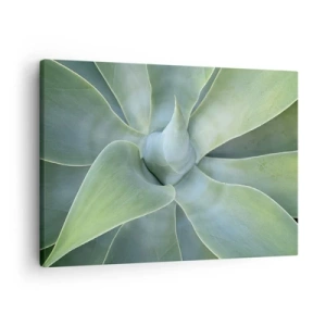 Impression sur toile - Image sur toile - Feuilles d'agave subtiles dans des tons verts - 70x50cm - La naissance de la verdure - Décoration murale moderne pour le salon et la chambre ARTTOR