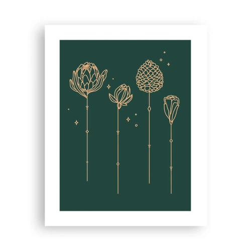 Affiche - Poster - La famille Plante - 40x50 cm