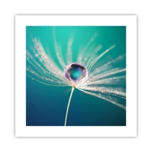 Affiche - Poster - Moment mystique - 40x40 cm